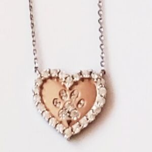 Rhinestone Animal Paw 🐾 Pendant Necklace Rose Goldtone + Silvertone Long Chain